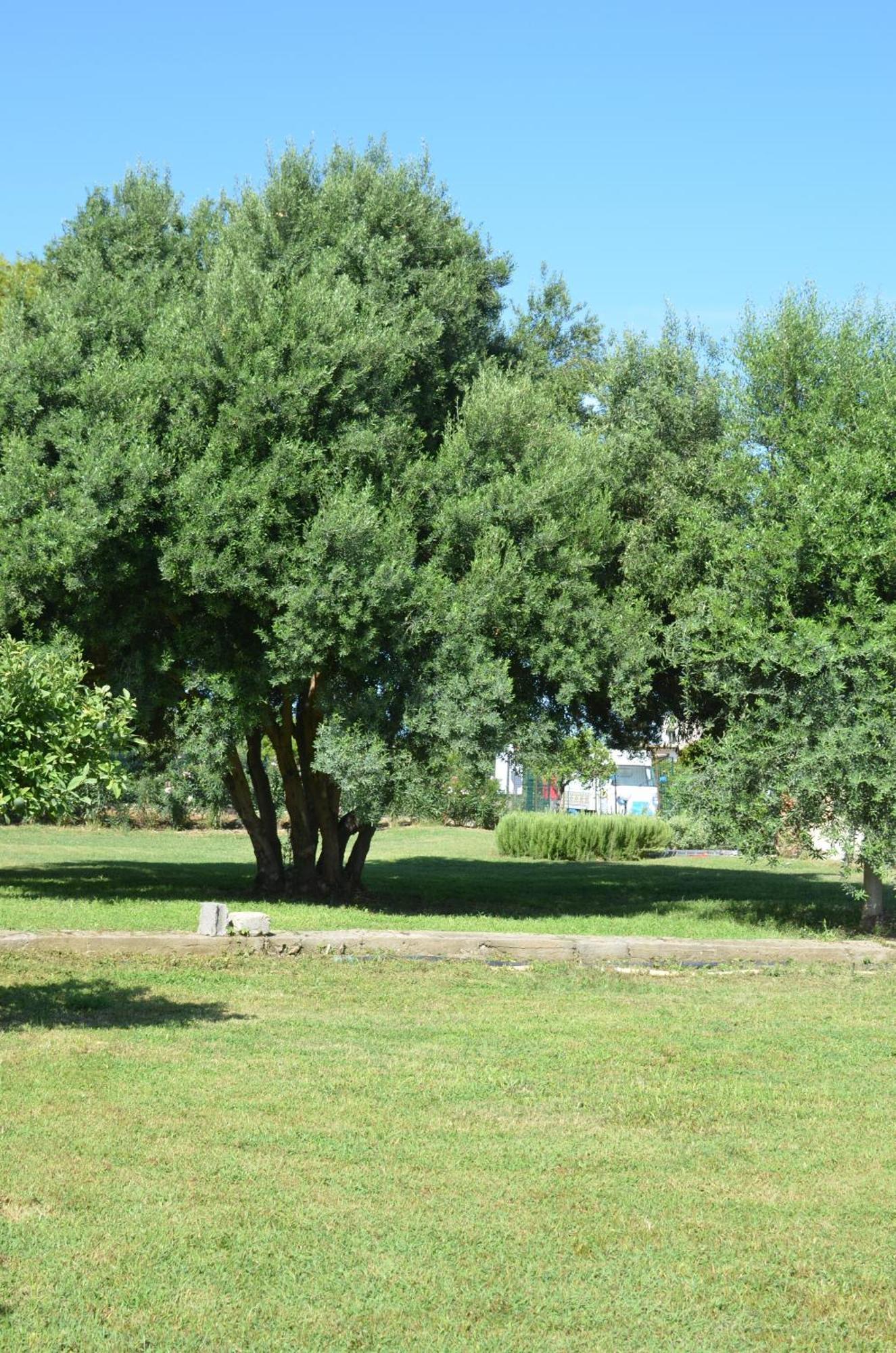 Villa Teti - Sicilia Campofelice Di Roccella Exterior foto